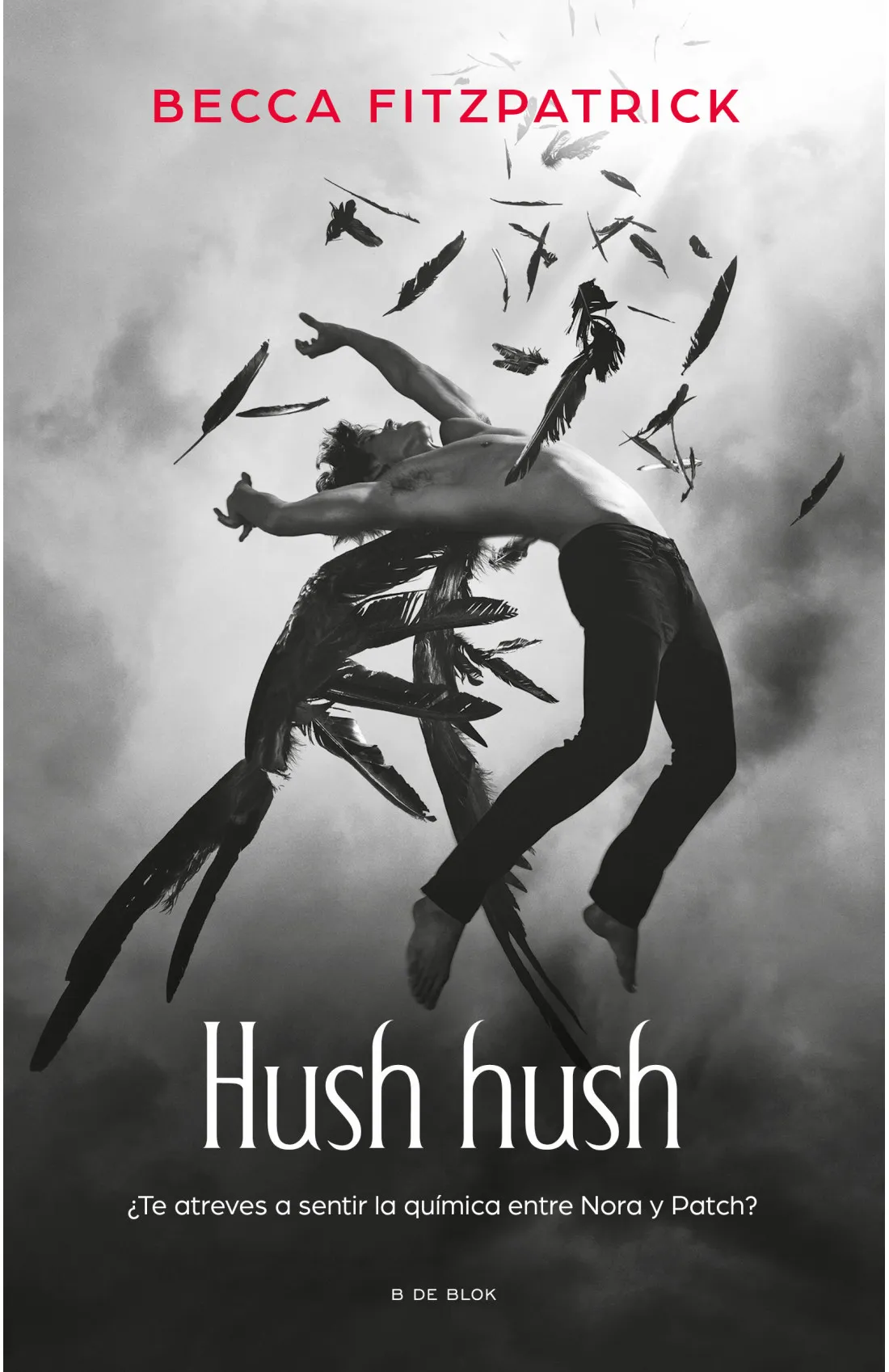 SAGA HUSH, HUSH 1