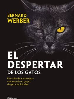 EL DESPERTAR DE LOS GATOS