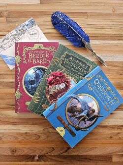 SET BIBLIOTECA HOGWARTS