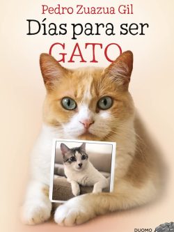 DÍAS PARA SER GATO