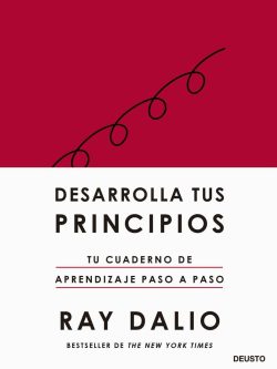 DESARROLLA TUS PRINCIPIOS (CUADERNO)