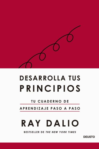 DESARROLLA TUS PRINCIPIOS (CUADERNO)