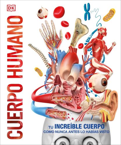 CUERPO HUMANO (MUNDO 3D)