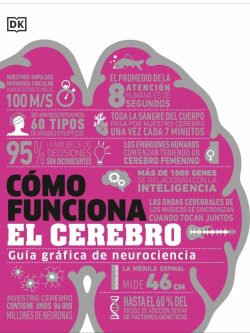 CÓMO FUNCIONA EL CEREBRO