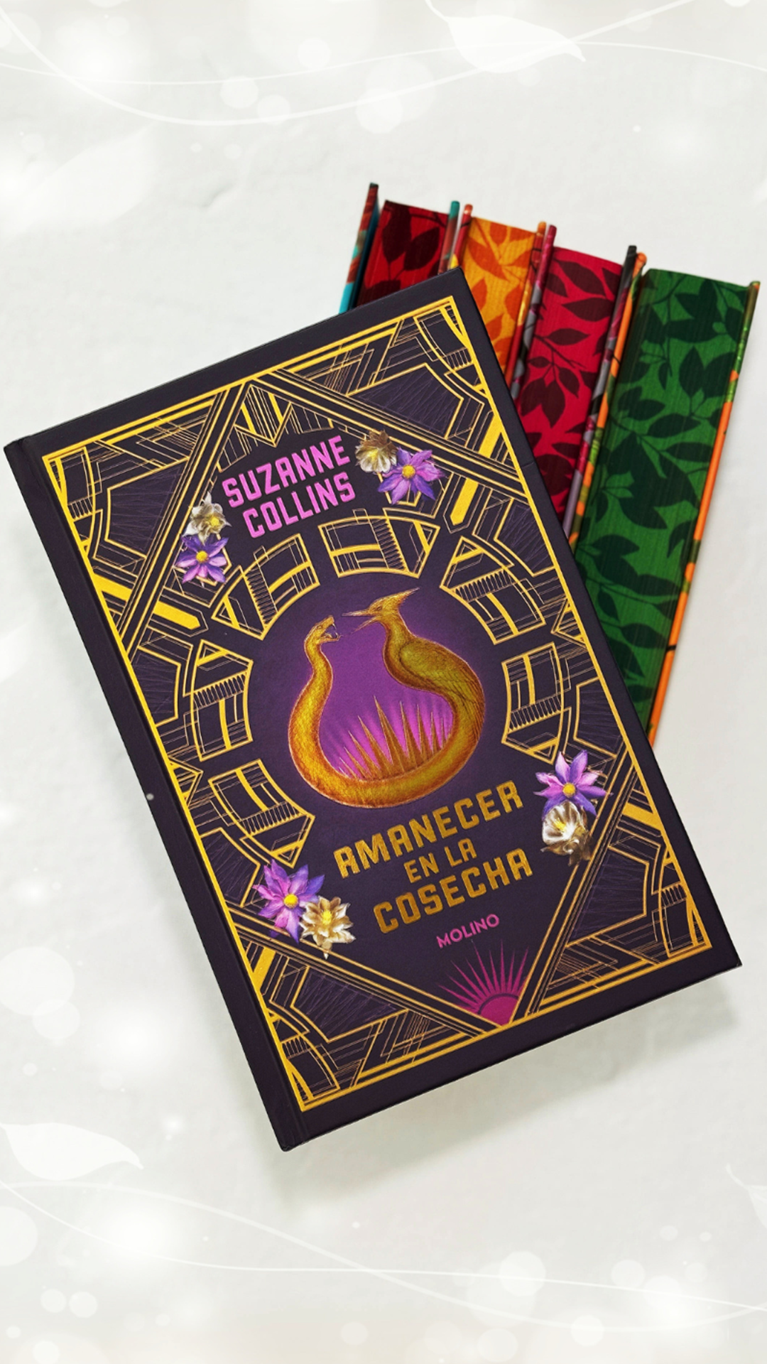 Booksflea - Online Bookstore - El placer de leer