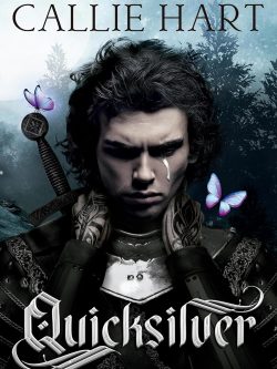 QUICKSILVER (TAPA BLANDA)